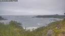 ./images/calvert/foggy-cove/20260629/foggy-cove20260629_074001M.jpg