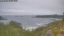 ./images/calvert/foggy-cove/20260629/foggy-cove20260629_074502M.jpg
