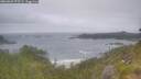 ./images/calvert/foggy-cove/20260629/foggy-cove20260629_075501M.jpg