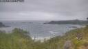 ./images/calvert/foggy-cove/20260629/foggy-cove20260629_080501M.jpg