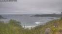 ./images/calvert/foggy-cove/20260629/foggy-cove20260629_081501M.jpg