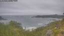 ./images/calvert/foggy-cove/20260629/foggy-cove20260629_082001M.jpg