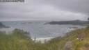 ./images/calvert/foggy-cove/20260629/foggy-cove20260629_082501M.jpg
