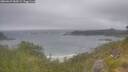 ./images/calvert/foggy-cove/20260629/foggy-cove20260629_083002M.jpg