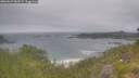 ./images/calvert/foggy-cove/20260629/foggy-cove20260629_083501M.jpg