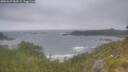 ./images/calvert/foggy-cove/20260629/foggy-cove20260629_084501M.jpg