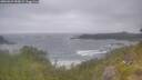 ./images/calvert/foggy-cove/20260629/foggy-cove20260629_090001M.jpg
