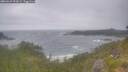 ./images/calvert/foggy-cove/20260629/foggy-cove20260629_091002M.jpg