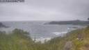 ./images/calvert/foggy-cove/20260629/foggy-cove20260629_091501M.jpg