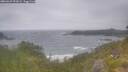 ./images/calvert/foggy-cove/20260629/foggy-cove20260629_092001M.jpg
