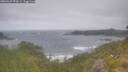 ./images/calvert/foggy-cove/20260629/foggy-cove20260629_092501M.jpg