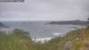 ./images/calvert/foggy-cove/20260629/foggy-cove20260629_093001M.jpg