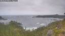 ./images/calvert/foggy-cove/20260629/foggy-cove20260629_094001M.jpg