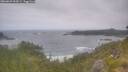 ./images/calvert/foggy-cove/20260629/foggy-cove20260629_094501M.jpg