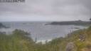./images/calvert/foggy-cove/20260629/foggy-cove20260629_095001M.jpg