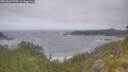 ./images/calvert/foggy-cove/20260629/foggy-cove20260629_095501M.jpg