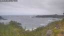 ./images/calvert/foggy-cove/20260629/foggy-cove20260629_100501M.jpg
