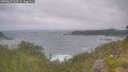 ./images/calvert/foggy-cove/20260629/foggy-cove20260629_101501M.jpg