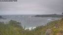 ./images/calvert/foggy-cove/20260629/foggy-cove20260629_103501M.jpg
