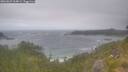 ./images/calvert/foggy-cove/20260629/foggy-cove20260629_104001M.jpg