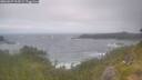 ./images/calvert/foggy-cove/20260629/foggy-cove20260629_104501M.jpg