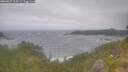./images/calvert/foggy-cove/20260629/foggy-cove20260629_105001M.jpg