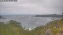 ./images/calvert/foggy-cove/20260629/foggy-cove20260629_105501M.jpg