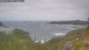 ./images/calvert/foggy-cove/20260629/foggy-cove20260629_110002M.jpg