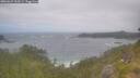 ./images/calvert/foggy-cove/20260629/foggy-cove20260629_110501M.jpg