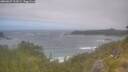./images/calvert/foggy-cove/20260629/foggy-cove20260629_111001M.jpg