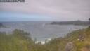 ./images/calvert/foggy-cove/20260629/foggy-cove20260629_111501M.jpg