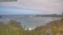 ./images/calvert/foggy-cove/20260629/foggy-cove20260629_112001M.jpg