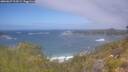 ./images/calvert/foggy-cove/20260629/foggy-cove20260629_113501M.jpg