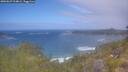 ./images/calvert/foggy-cove/20260629/foggy-cove20260629_114001M.jpg