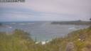 ./images/calvert/foggy-cove/20260629/foggy-cove20260629_115501M.jpg