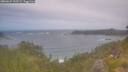 ./images/calvert/foggy-cove/20260629/foggy-cove20260629_120502M.jpg