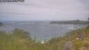 ./images/calvert/foggy-cove/20260629/foggy-cove20260629_122001M.jpg