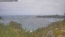 ./images/calvert/foggy-cove/20260629/foggy-cove20260629_123502M.jpg