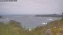 ./images/calvert/foggy-cove/20260629/foggy-cove20260629_124501M.jpg