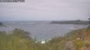 ./images/calvert/foggy-cove/20260629/foggy-cove20260629_125001M.jpg