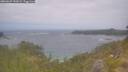 ./images/calvert/foggy-cove/20260629/foggy-cove20260629_131001M.jpg