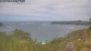 ./images/calvert/foggy-cove/20260629/foggy-cove20260629_132001M.jpg