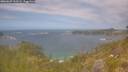 ./images/calvert/foggy-cove/20260629/foggy-cove20260629_133501M.jpg