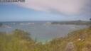 ./images/calvert/foggy-cove/20260629/foggy-cove20260629_141501M.jpg