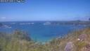 ./images/calvert/foggy-cove/20260629/foggy-cove20260629_145001M.jpg