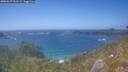 ./images/calvert/foggy-cove/20260629/foggy-cove20260629_161501M.jpg