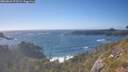 ./images/calvert/foggy-cove/20260629/foggy-cove20260629_175501M.jpg