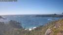 ./images/calvert/foggy-cove/20260629/foggy-cove20260629_180501M.jpg