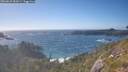 ./images/calvert/foggy-cove/20260629/foggy-cove20260629_181001M.jpg