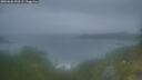 ./images/calvert/foggy-cove/20260630/foggy-cove20260630_050501M.jpg